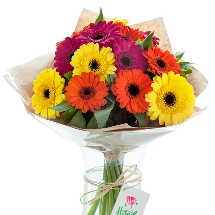 In a stunning celebration of colour and craftsmanship, a hand-tied bouquet of Gerbera daisies takes centre stage, its kaleidoscope of yellow, orange, and fuchsia petals radiating against a flawless white backdrop. The bouquet's exuberant display manages to feel both abundant and thoughtfully composed-every flower strategically angled to showcase its deep, dark center, while clusters of verdant green leaves add natural dimension. The arrangement is bound in earthy brown kraft paper and a sleek, crinkled film of cellophane that flares protectively above the vase, evoking the charm of flower markets scattered along quintessential Sutton roads. Submerged stems are visible through a clear vase, their fresh-cut ends revealing the bouquet's vitality, and a rustic twine wrap, complete with a dangling white gift tag marked by a simple rose illustration, hints at the hand-finished tradition. The scene conjures both elegance and an approachable warmth-a fitting gift for new homeowners in Belmont, or a cheerful centrepiece for celebrations near Sutton High Street. Its blend of artistry, freshness, and heart makes it a versatile arrangement, perfect for brightening any space across our community.