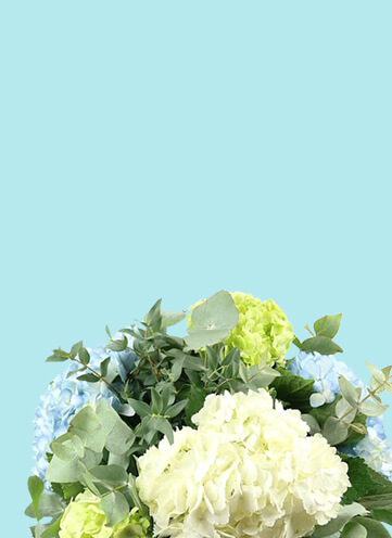 Same day Flowers Sutton